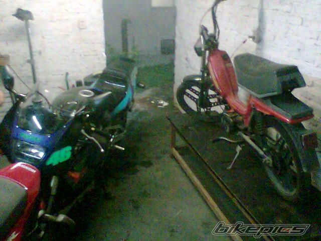 Photo 1388433