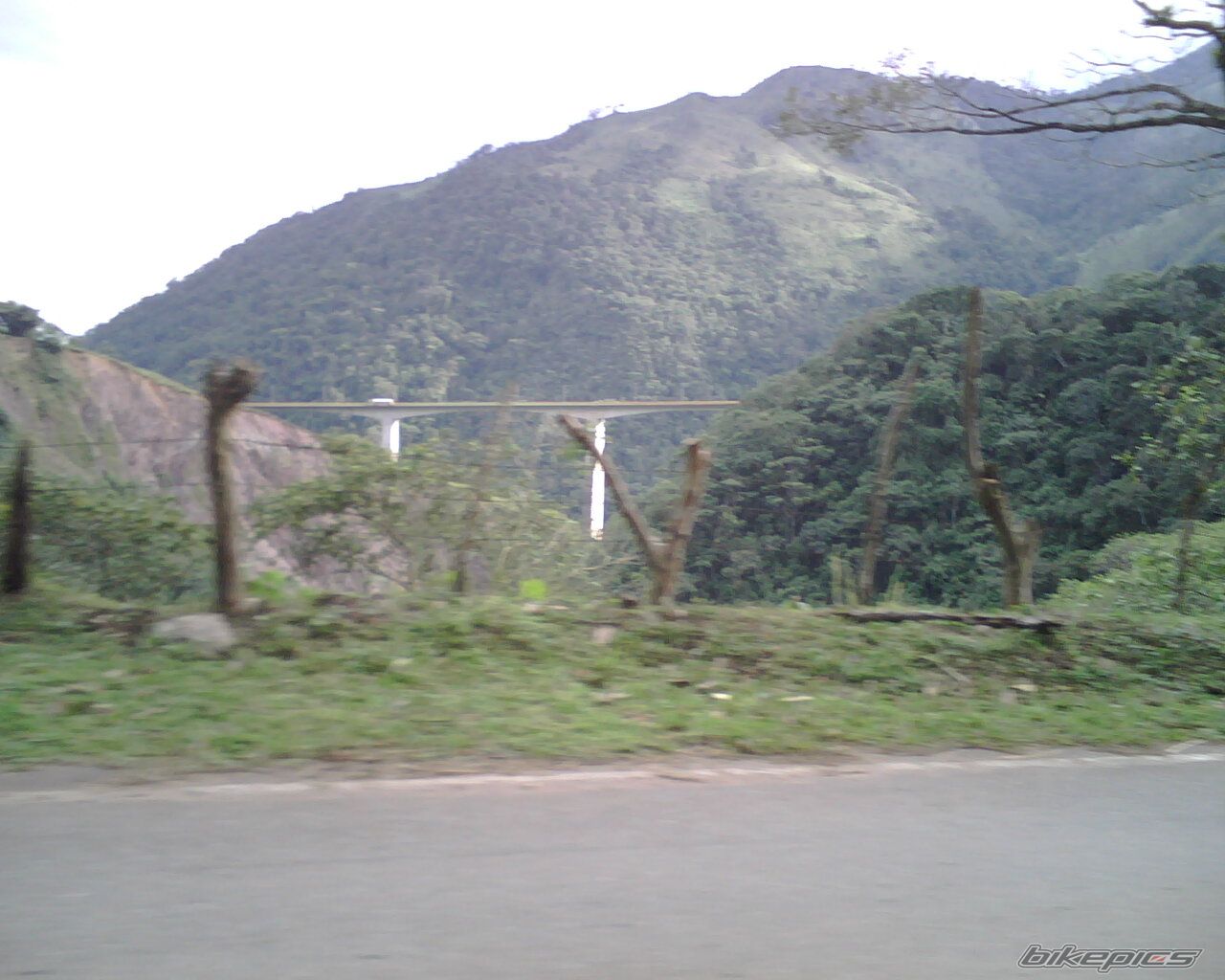 Photo 1388506
