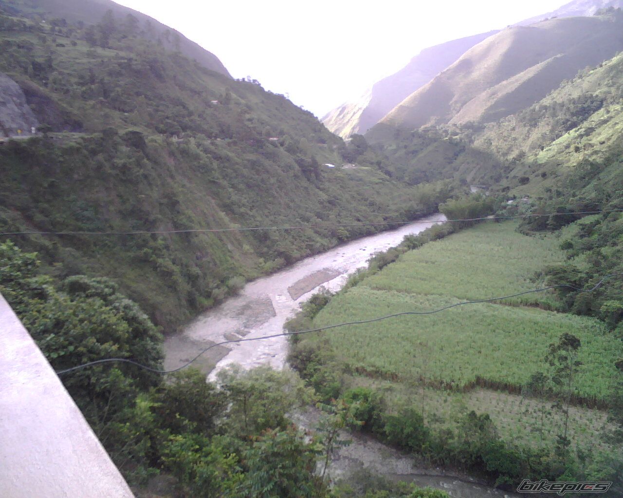 Photo 1388516