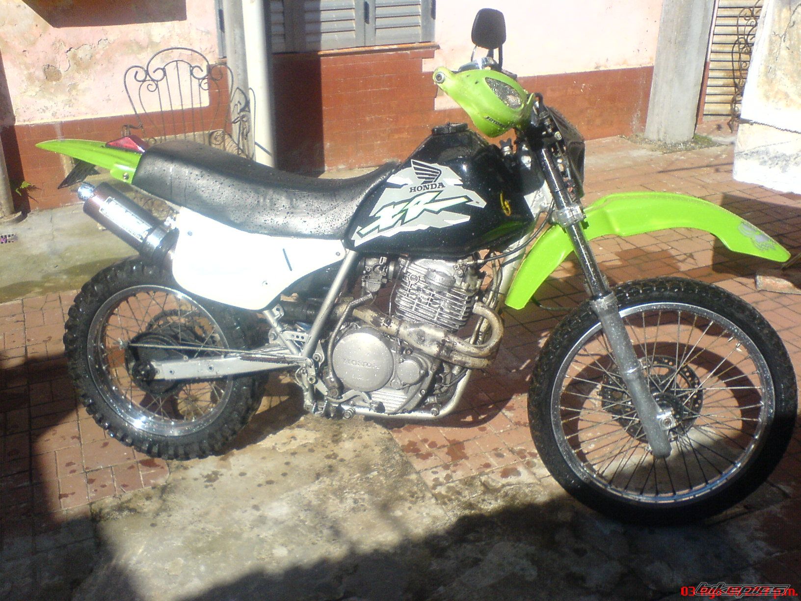 Photo 1388549