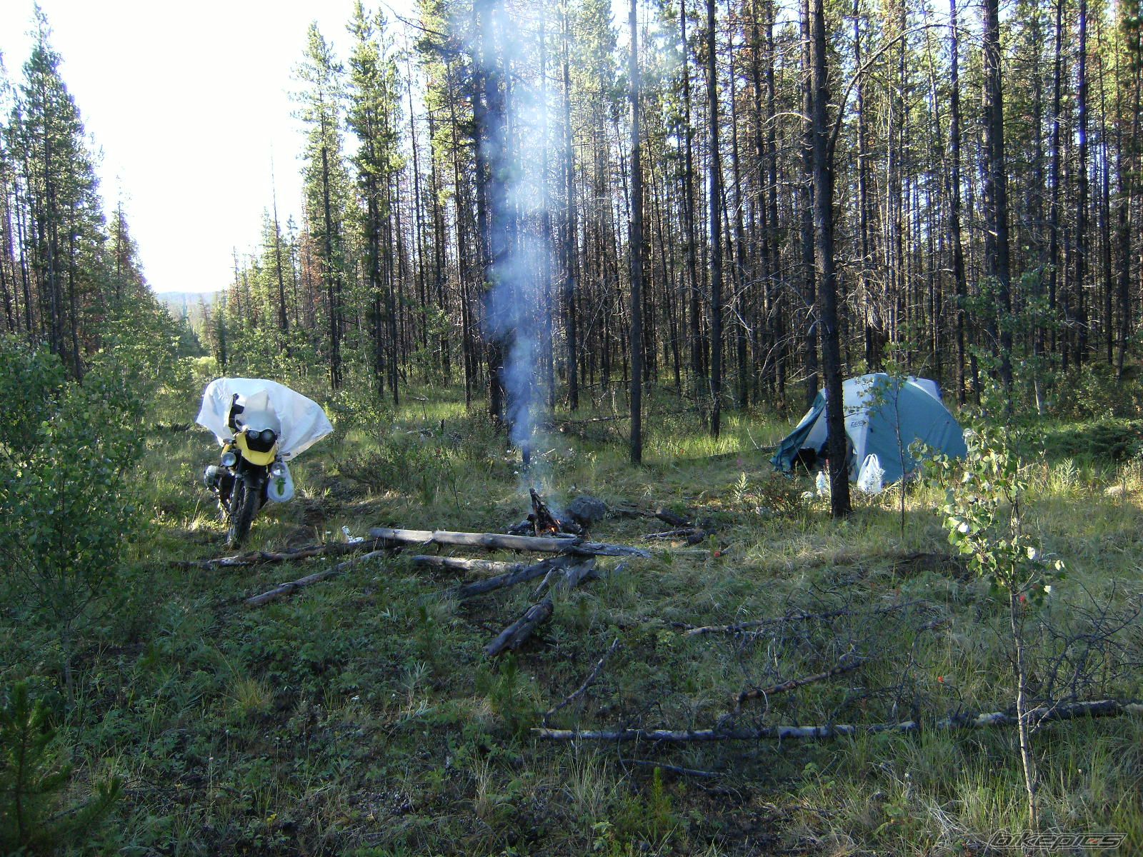 Photo 1388626
