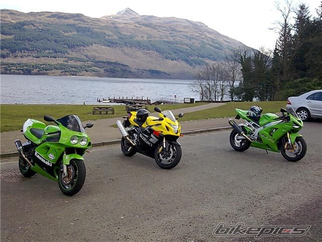 Photo 1388716
