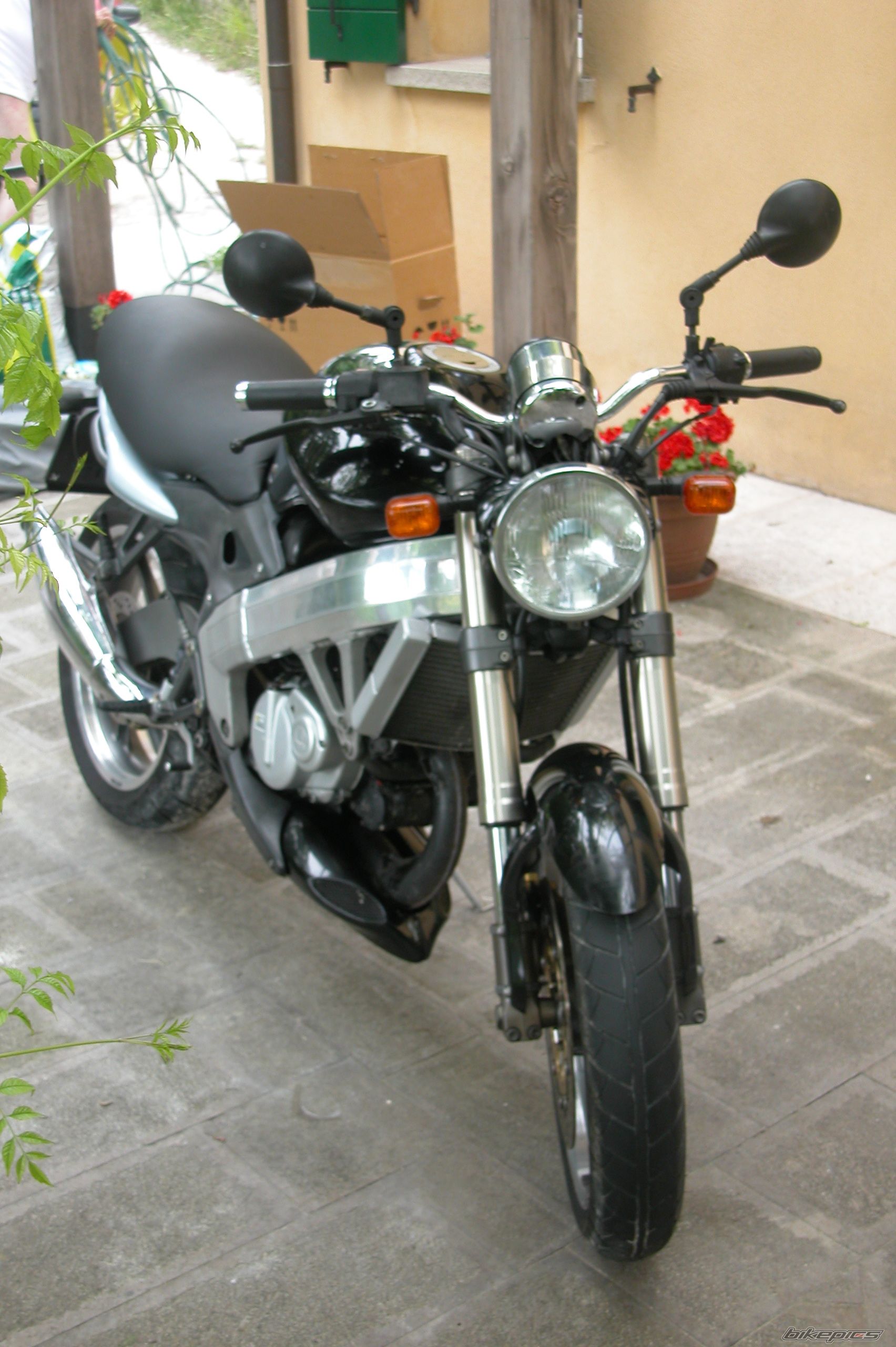 Photo 1388734