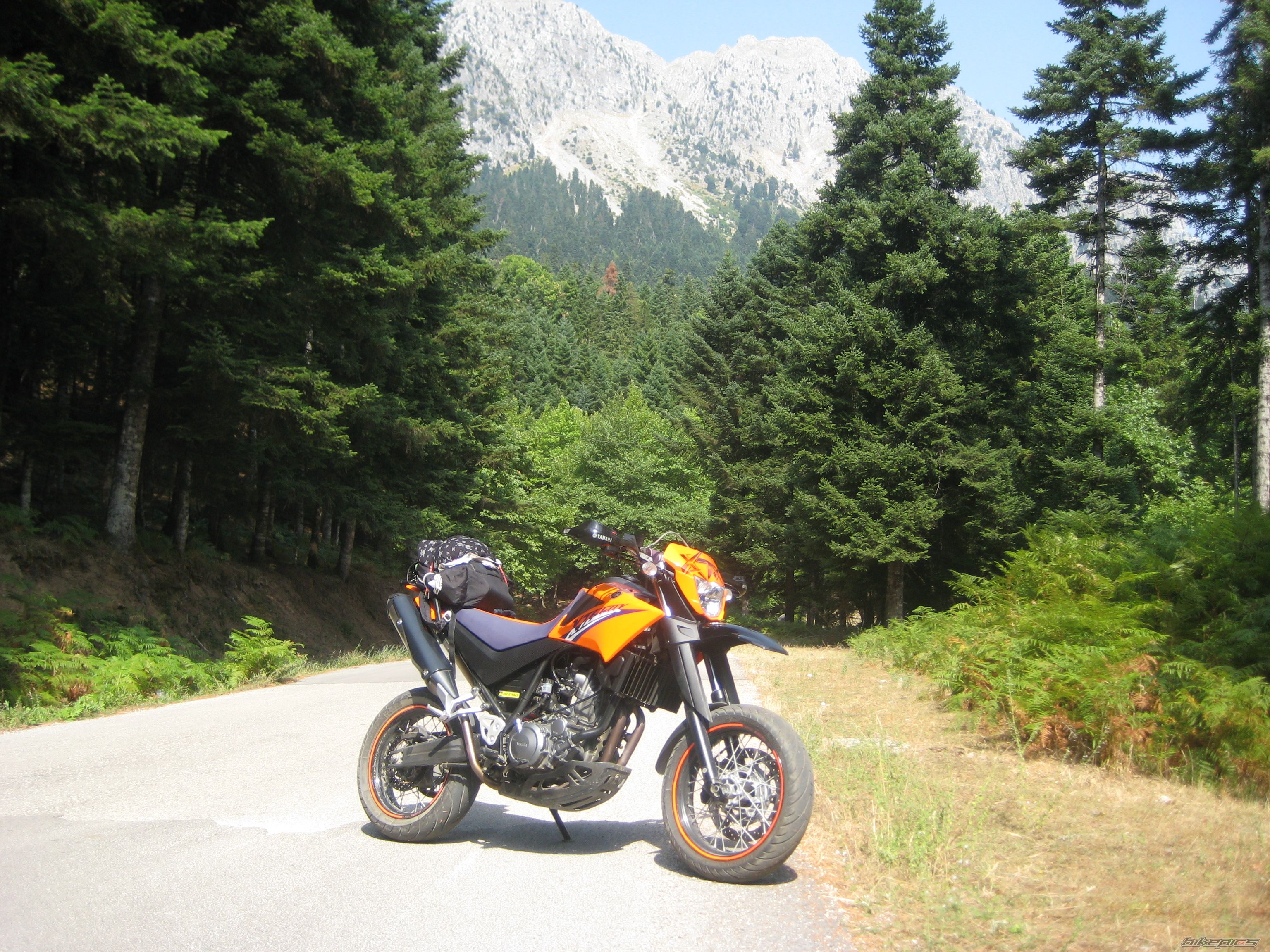 Bike Photo 1388872