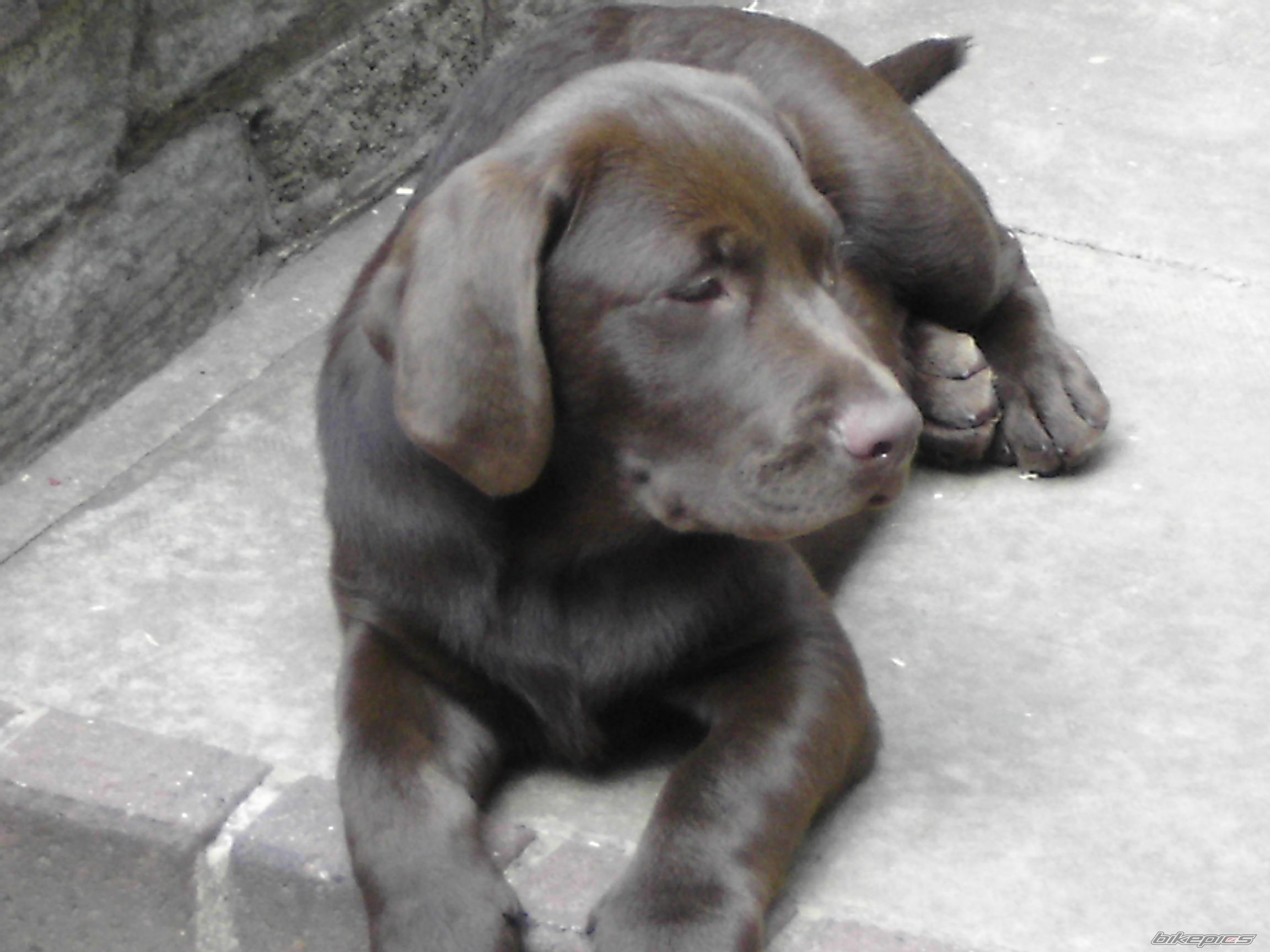 Photo 1389030