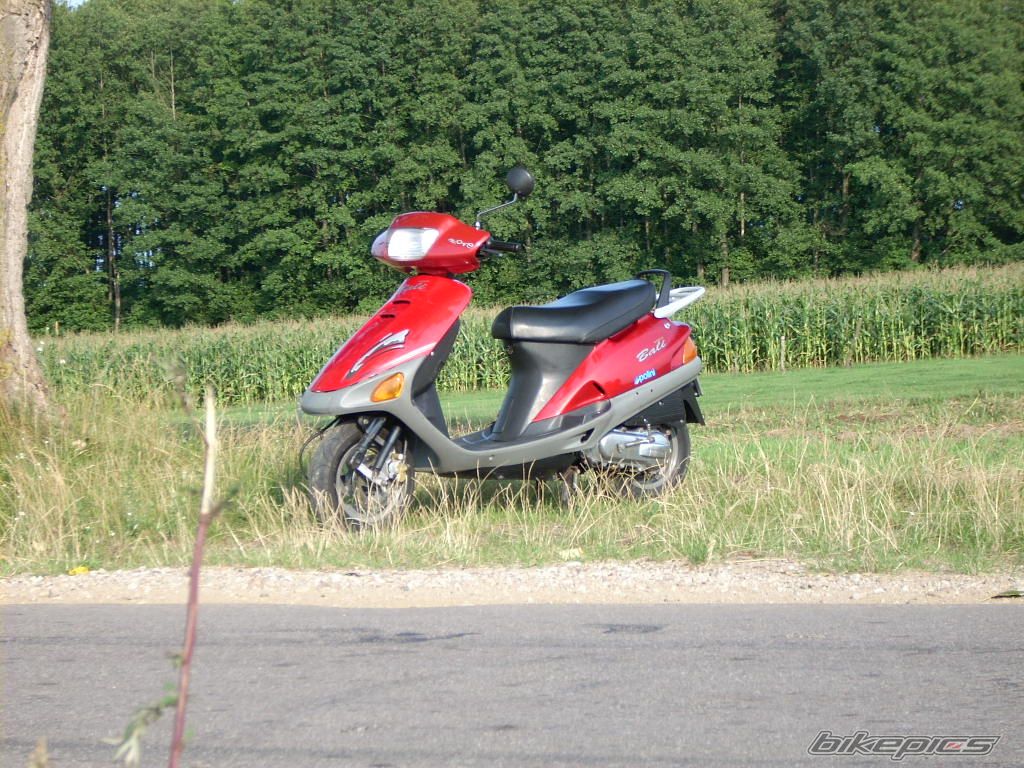 Photo 1389037