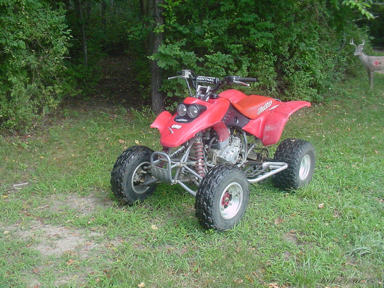 Photo 1389116