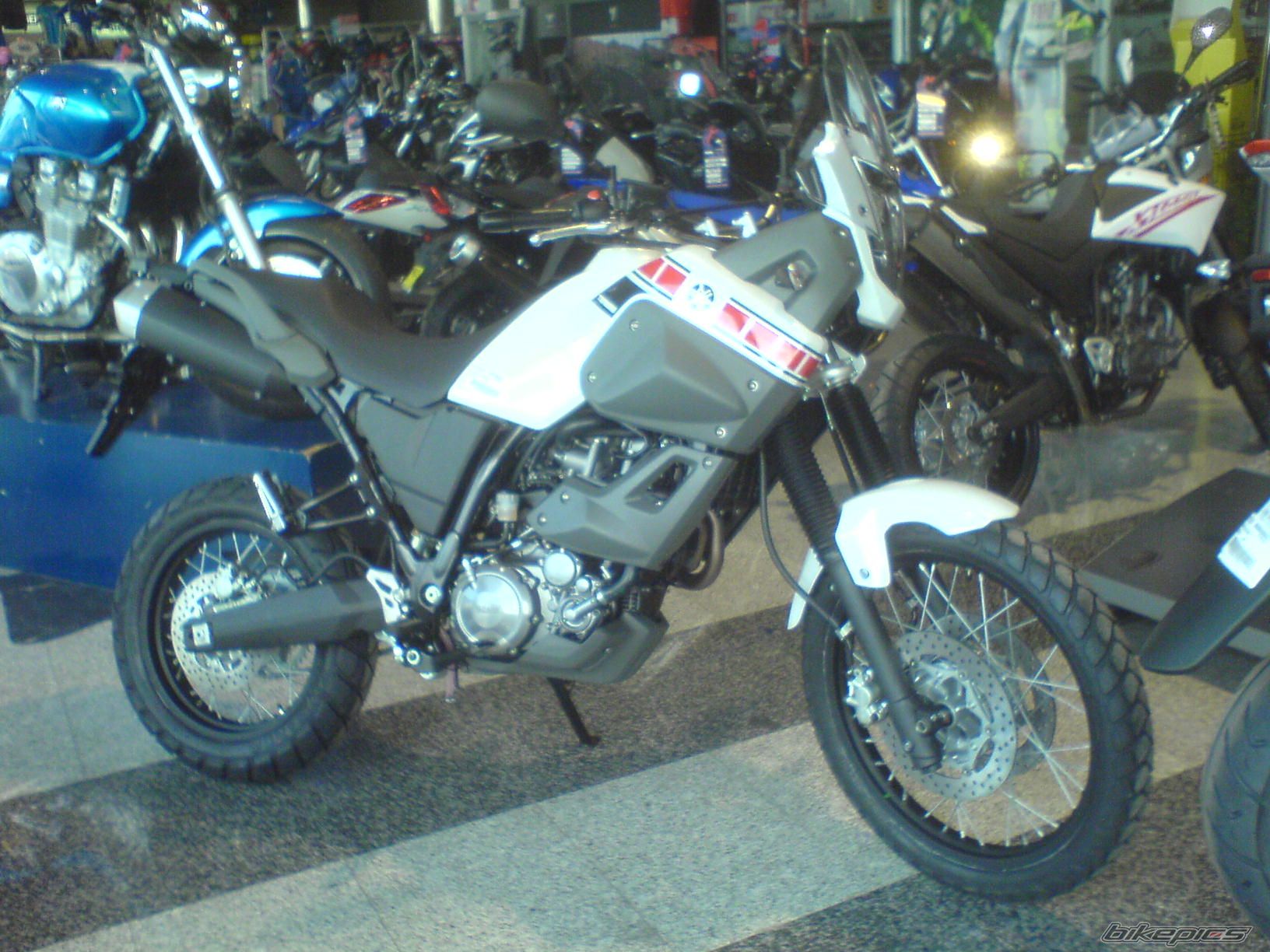 Photo 1389274