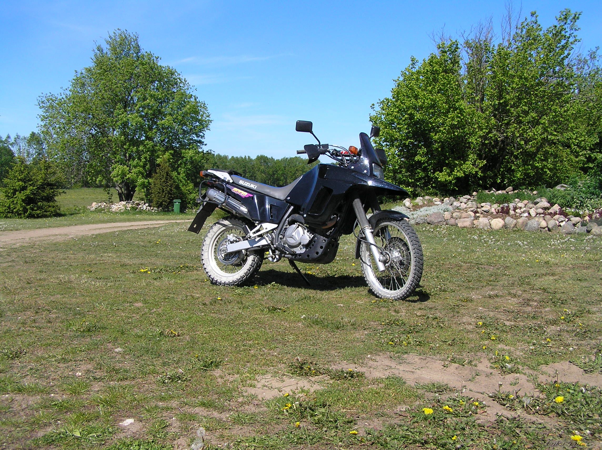 Photo 1389279