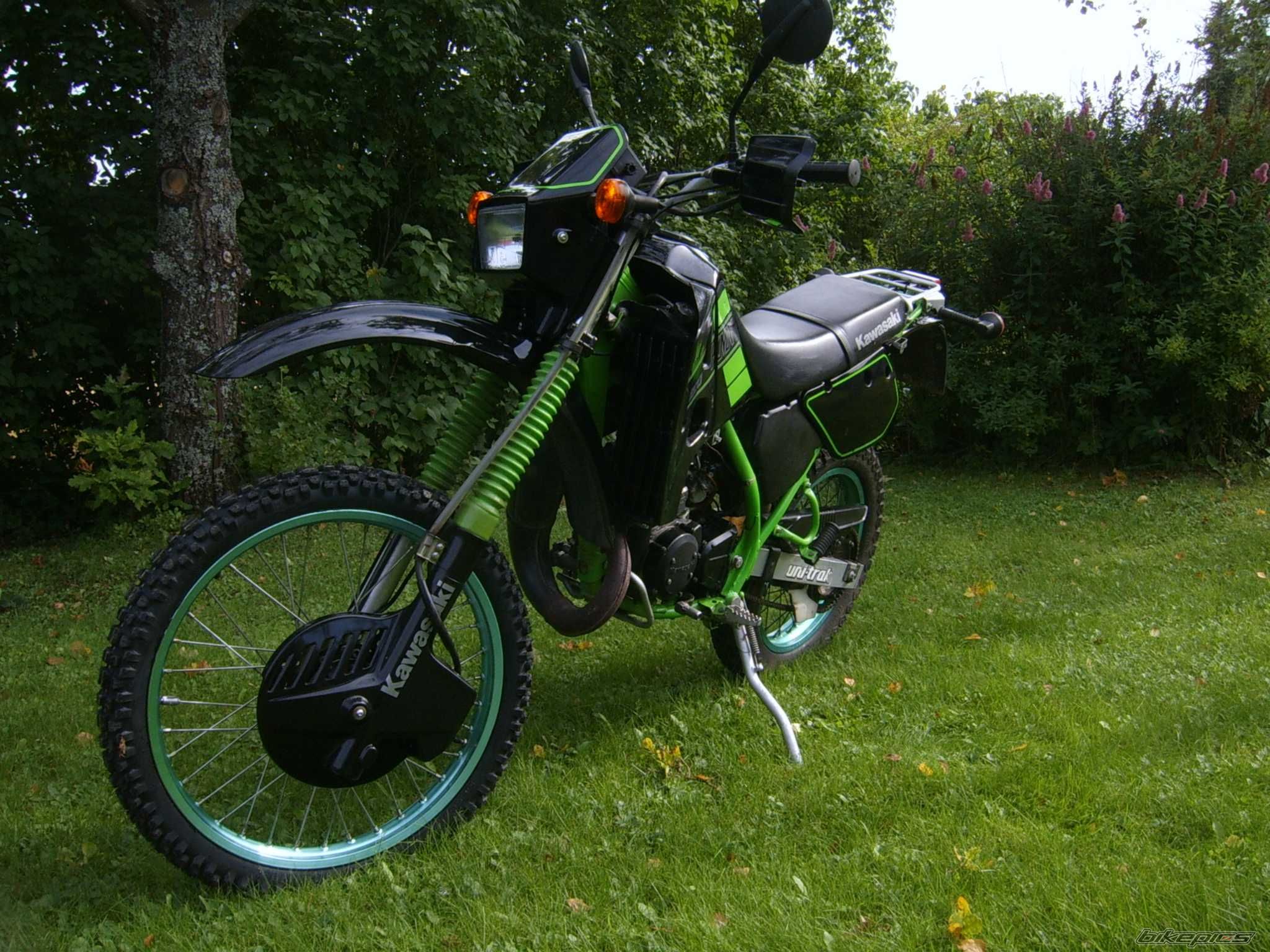 Bike Photo 1389284