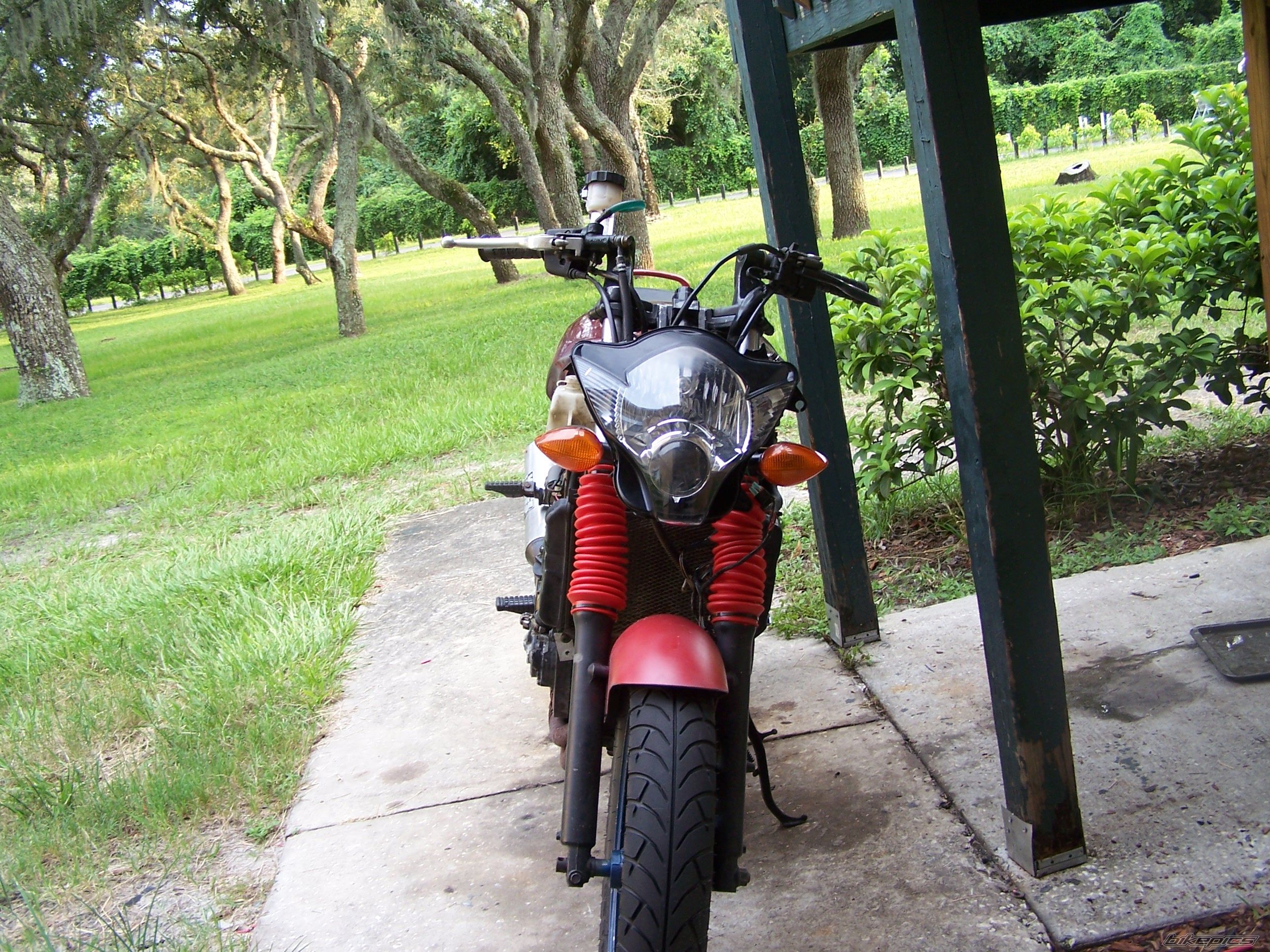 Photo 1389444
