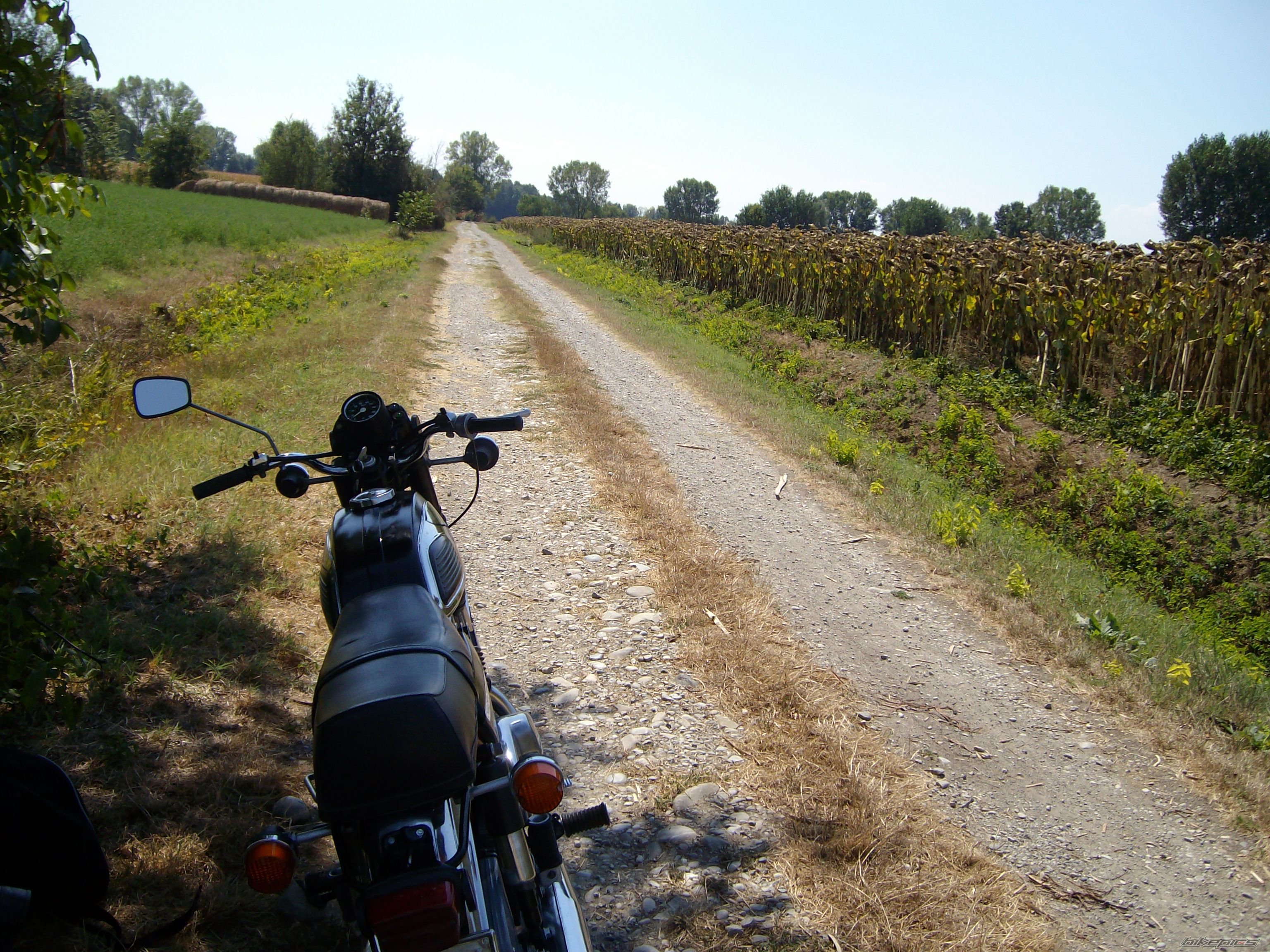 Photo 1389454