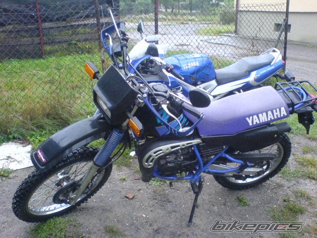 Bike Photo 1389504