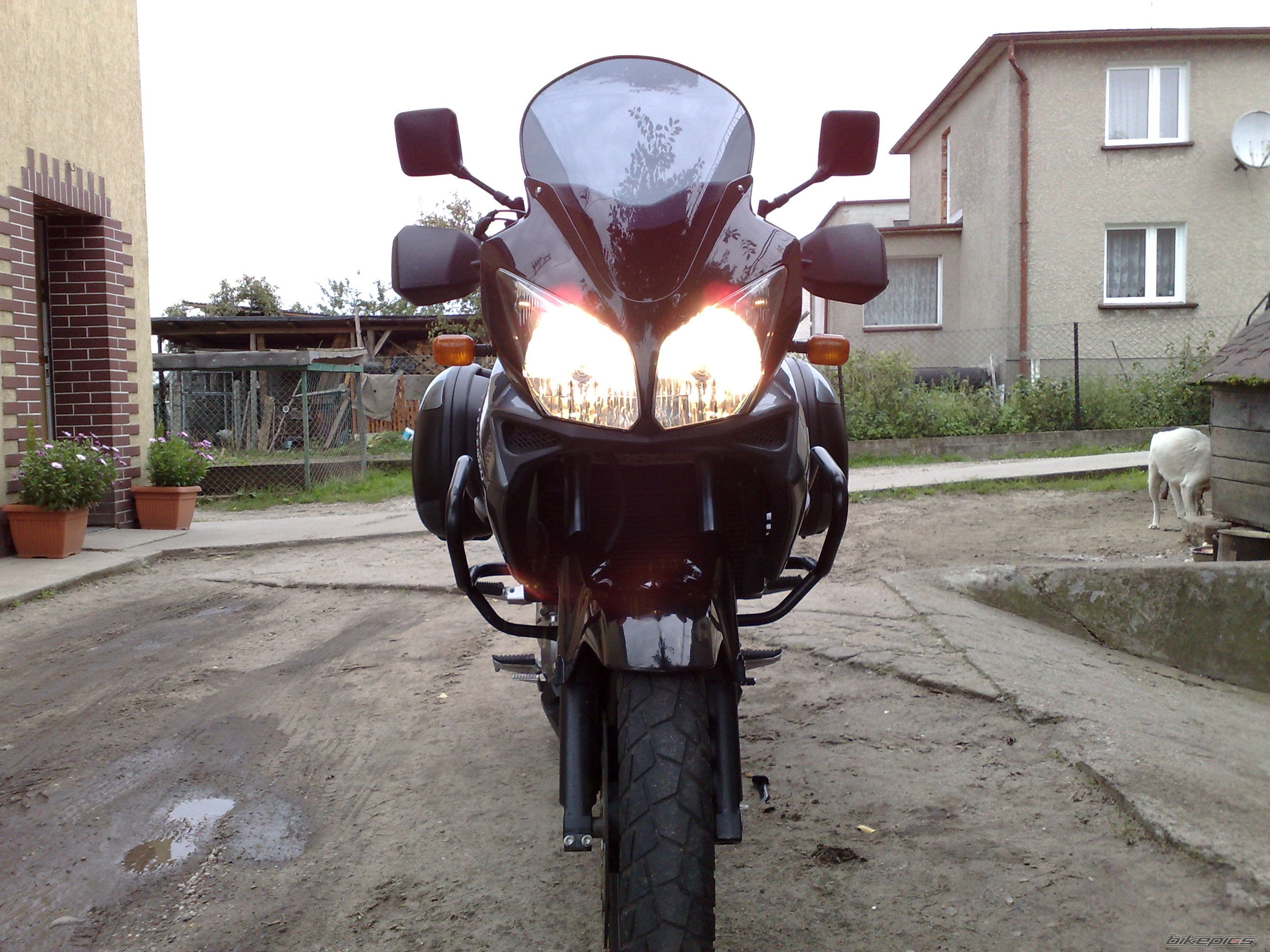 Photo 1389511