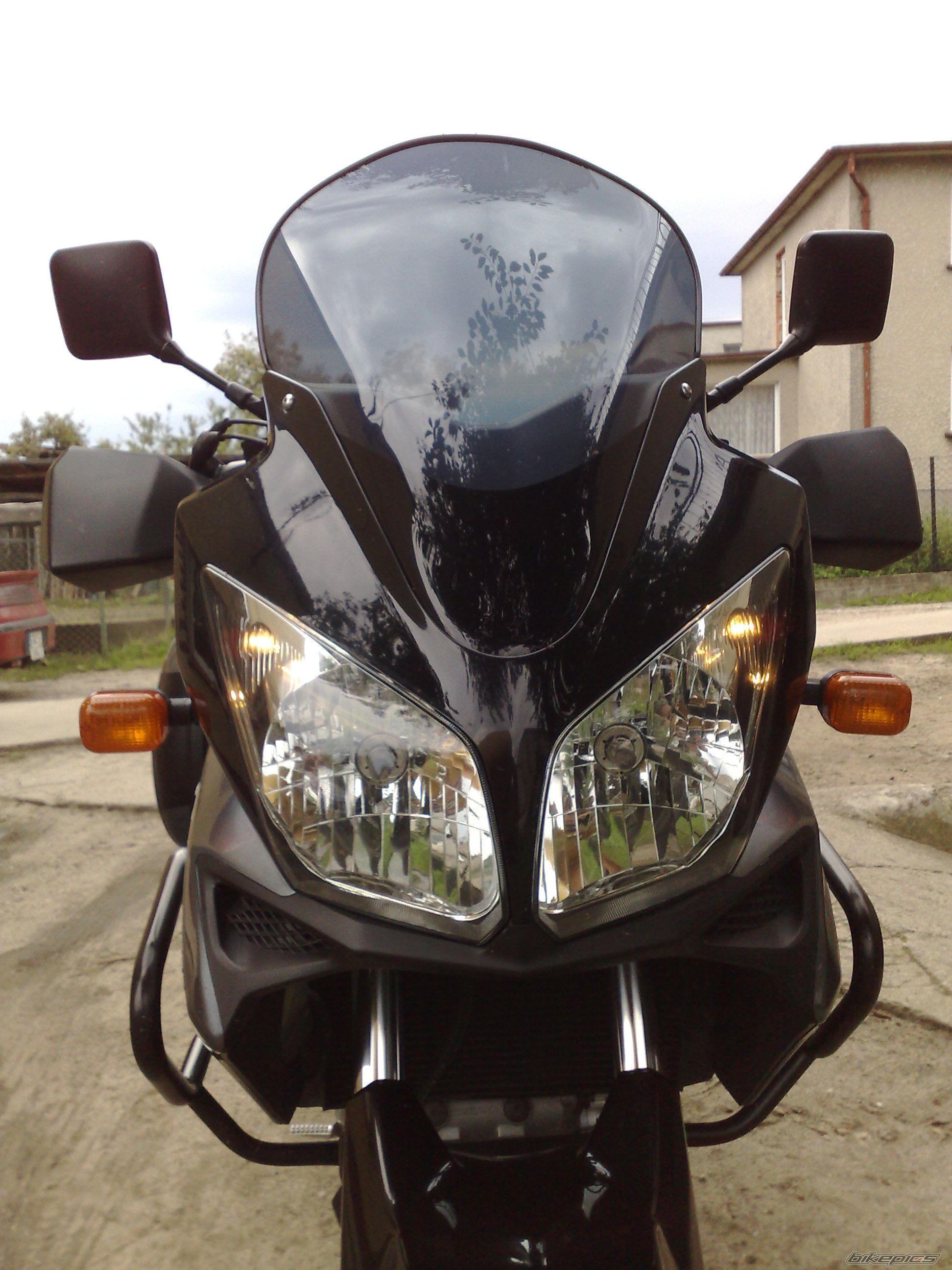Photo 1389515