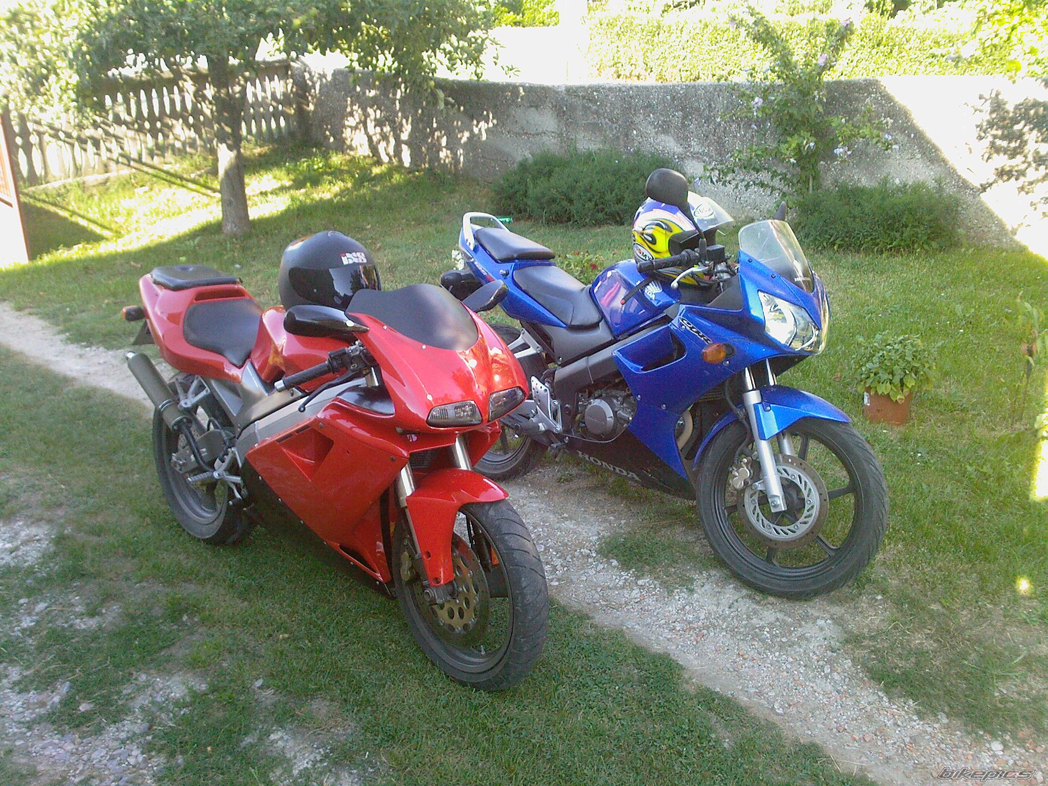 Photo 1389604
