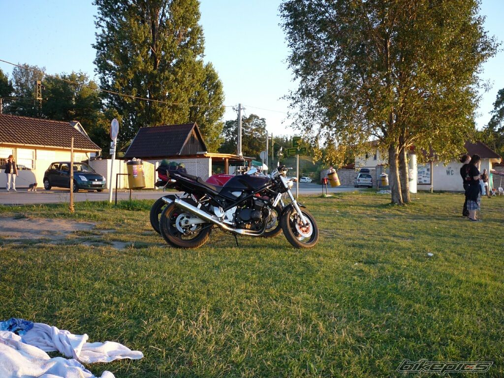 Photo 1389622