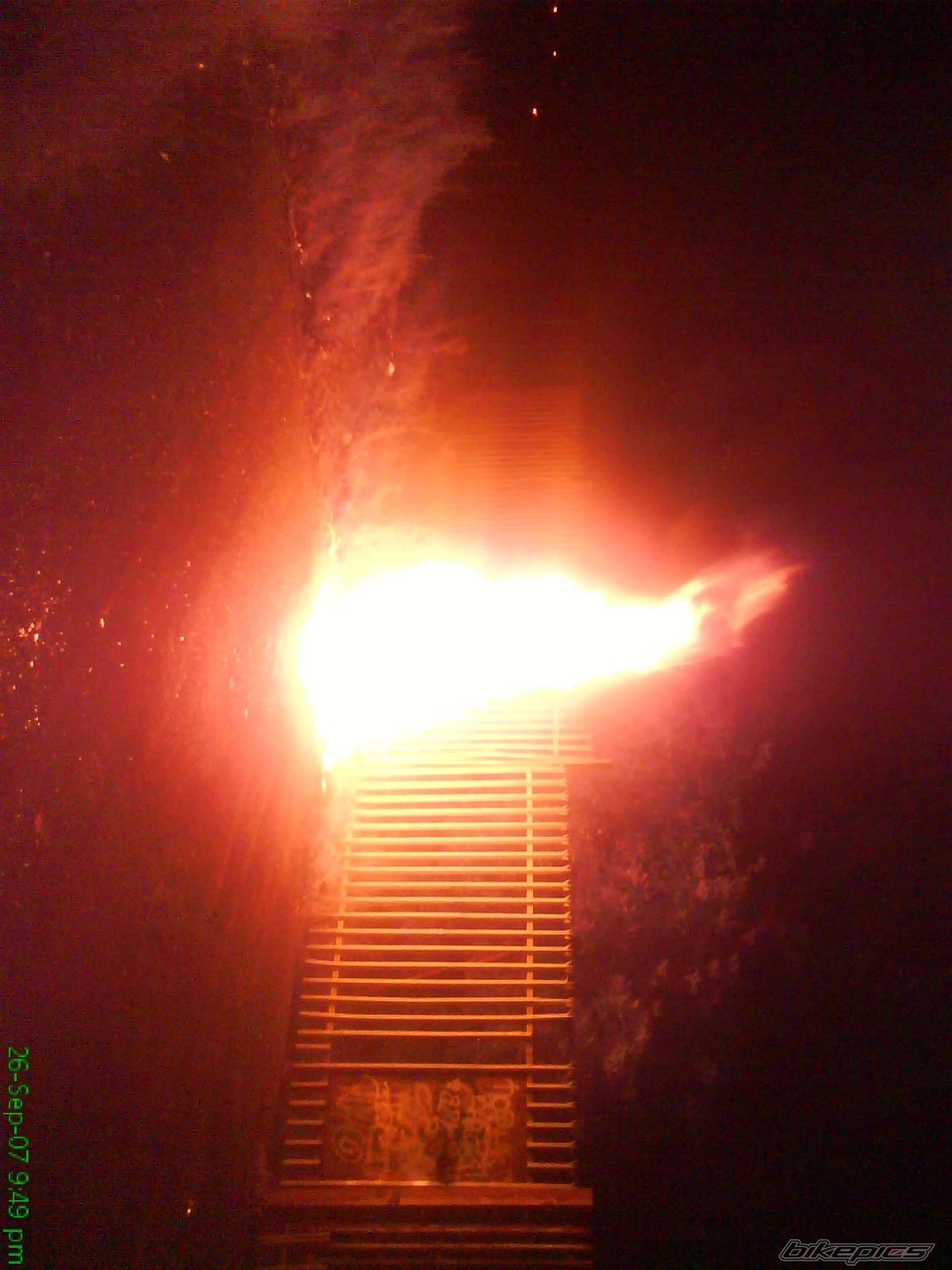 Photo 1389682
