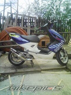 Photo 1389686