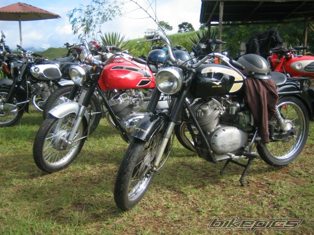 Photo 1389734