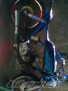 Photo 1389782