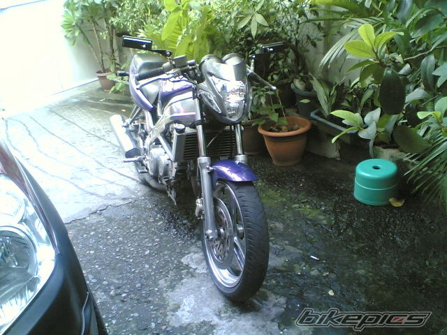 Photo 1389806