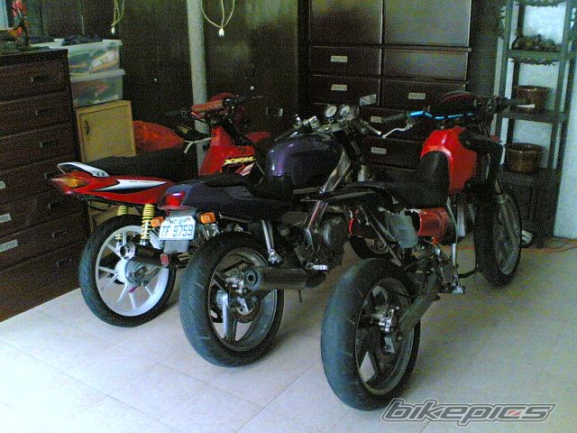 Photo 1389818