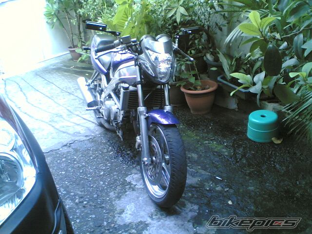 Photo 1389823