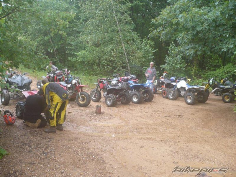 Photo 1389995