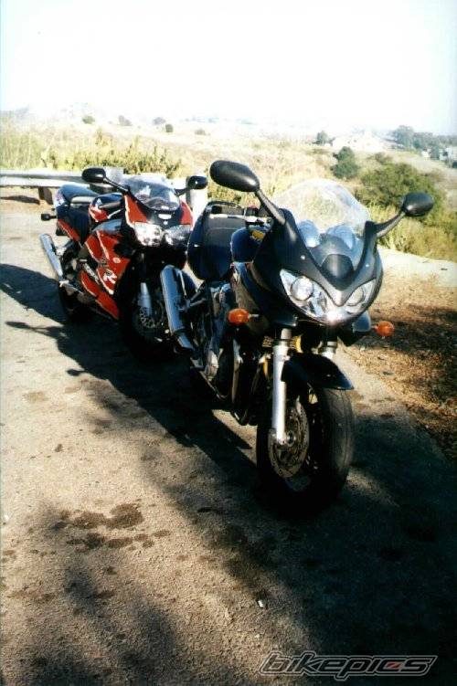 Photo 13901