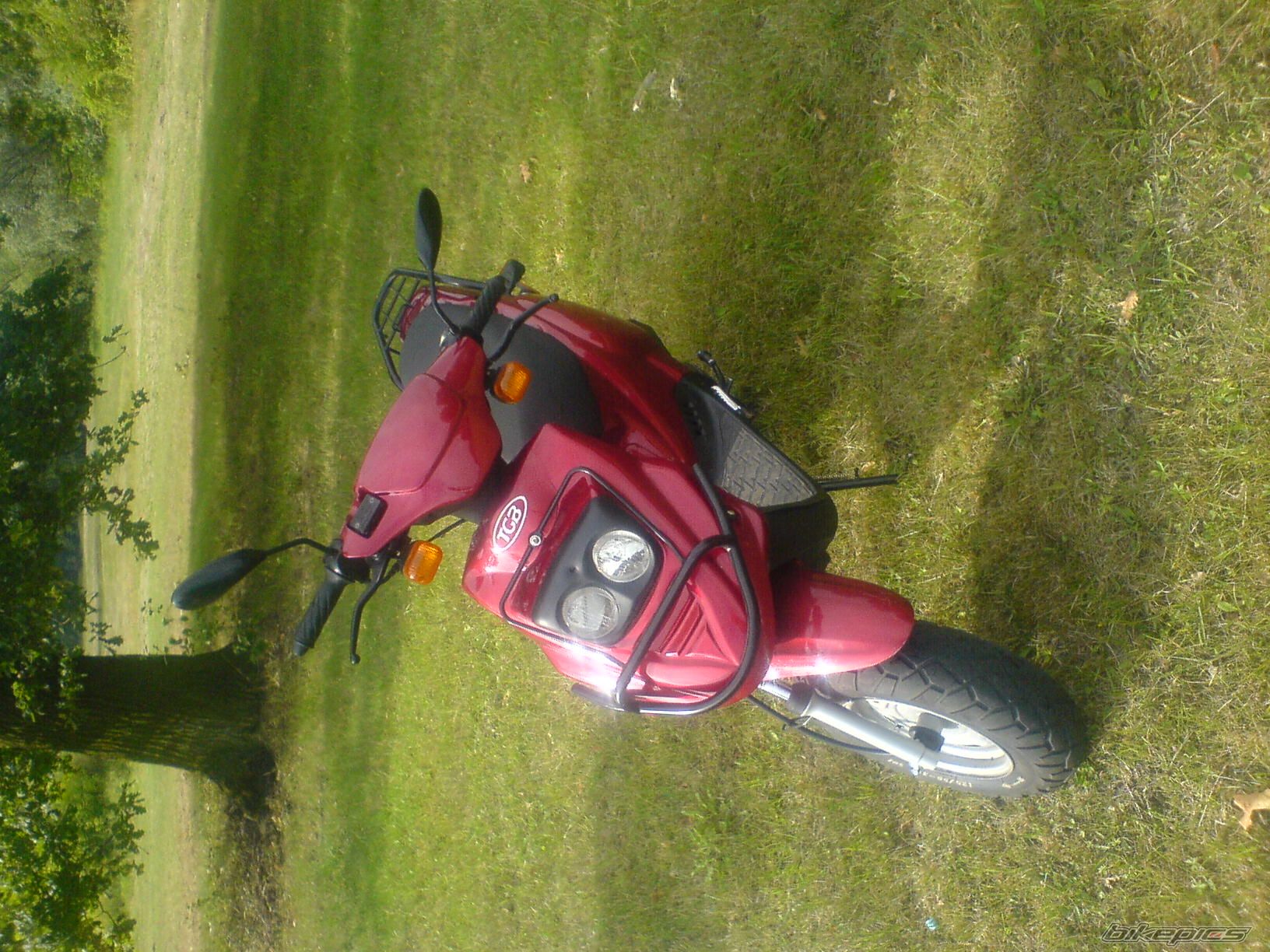 Photo 1390167