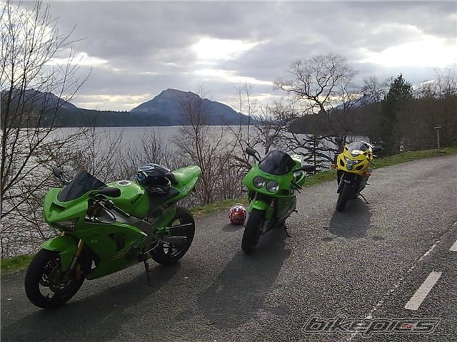 Photo 1390201