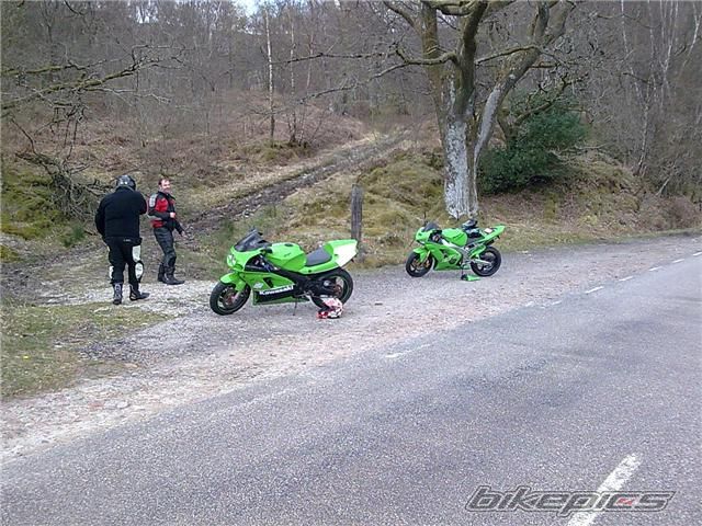 Photo 1390203