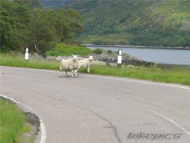 Photo 1390220