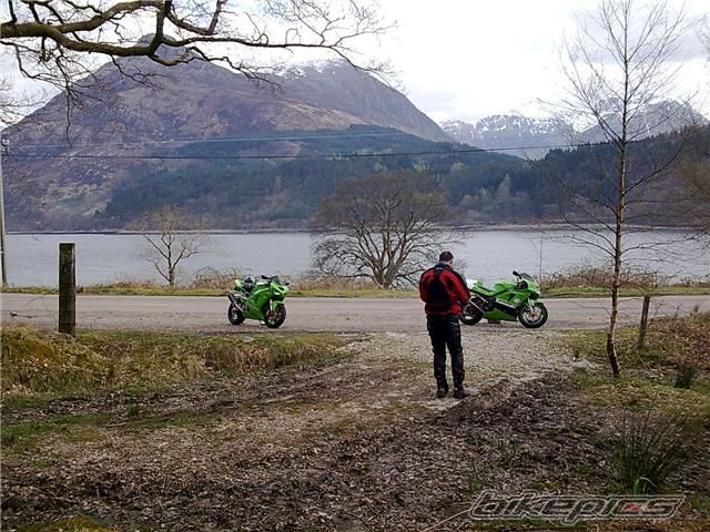 Photo 1390227