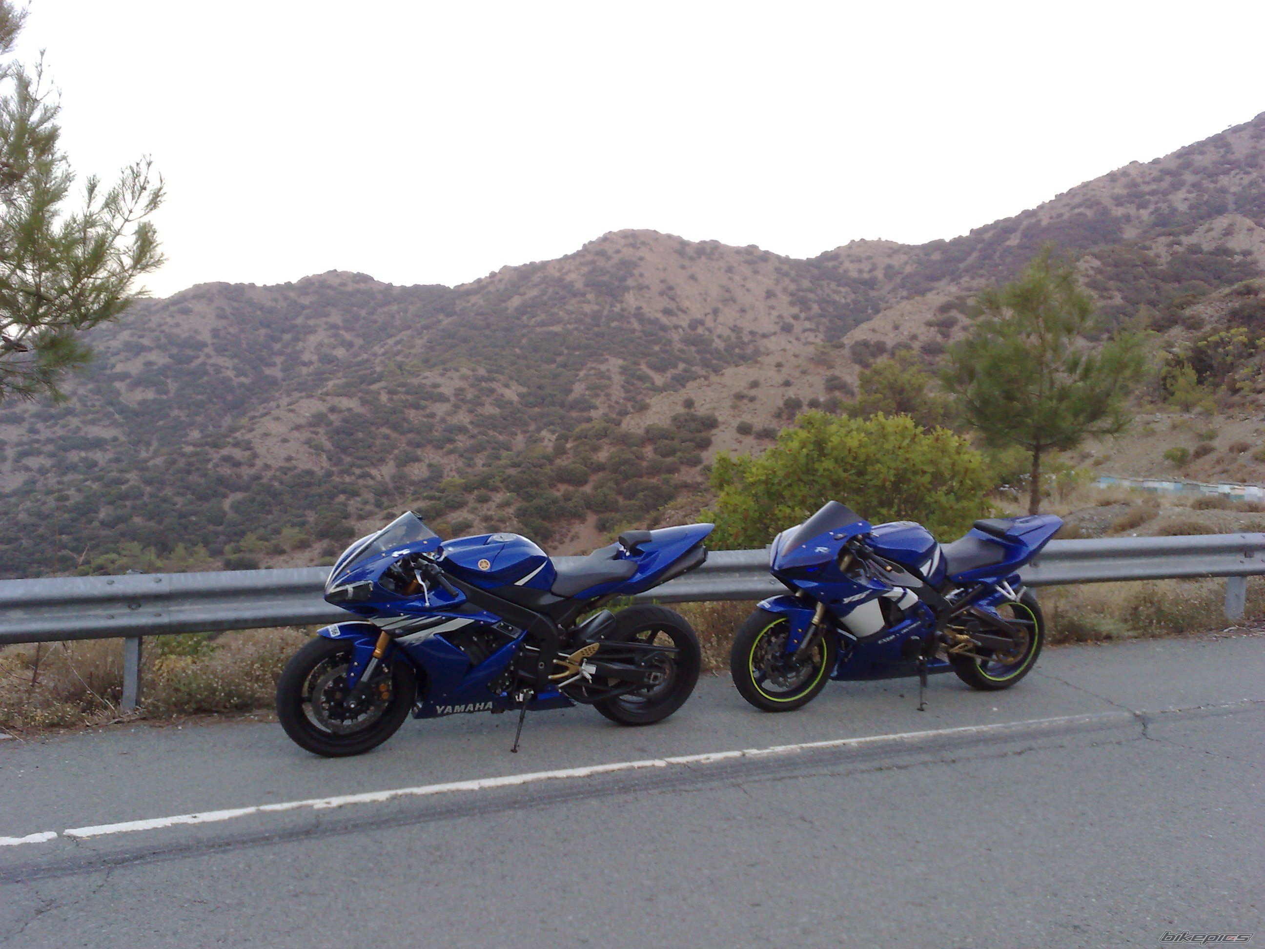 Photo 1390282
