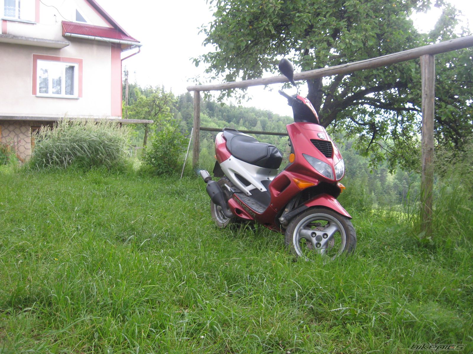 Bike Photo 1390300