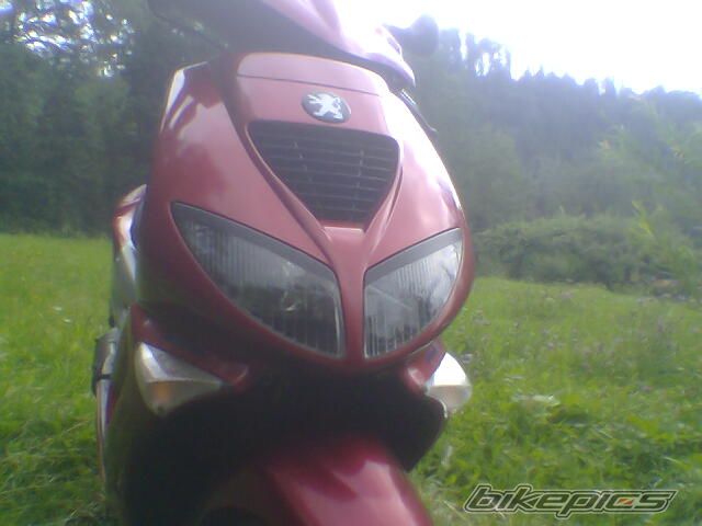 Photo 1390304