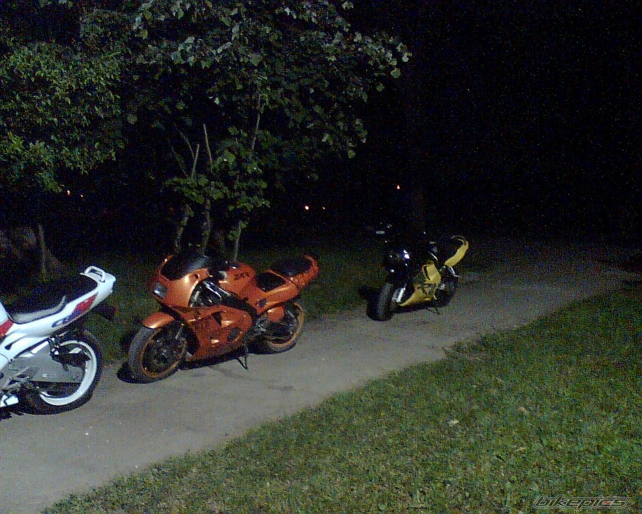 Photo 1390314