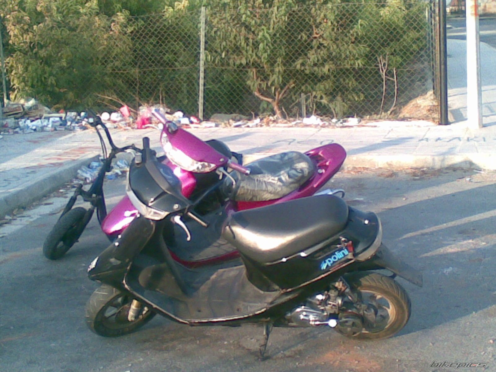 Photo 1390357