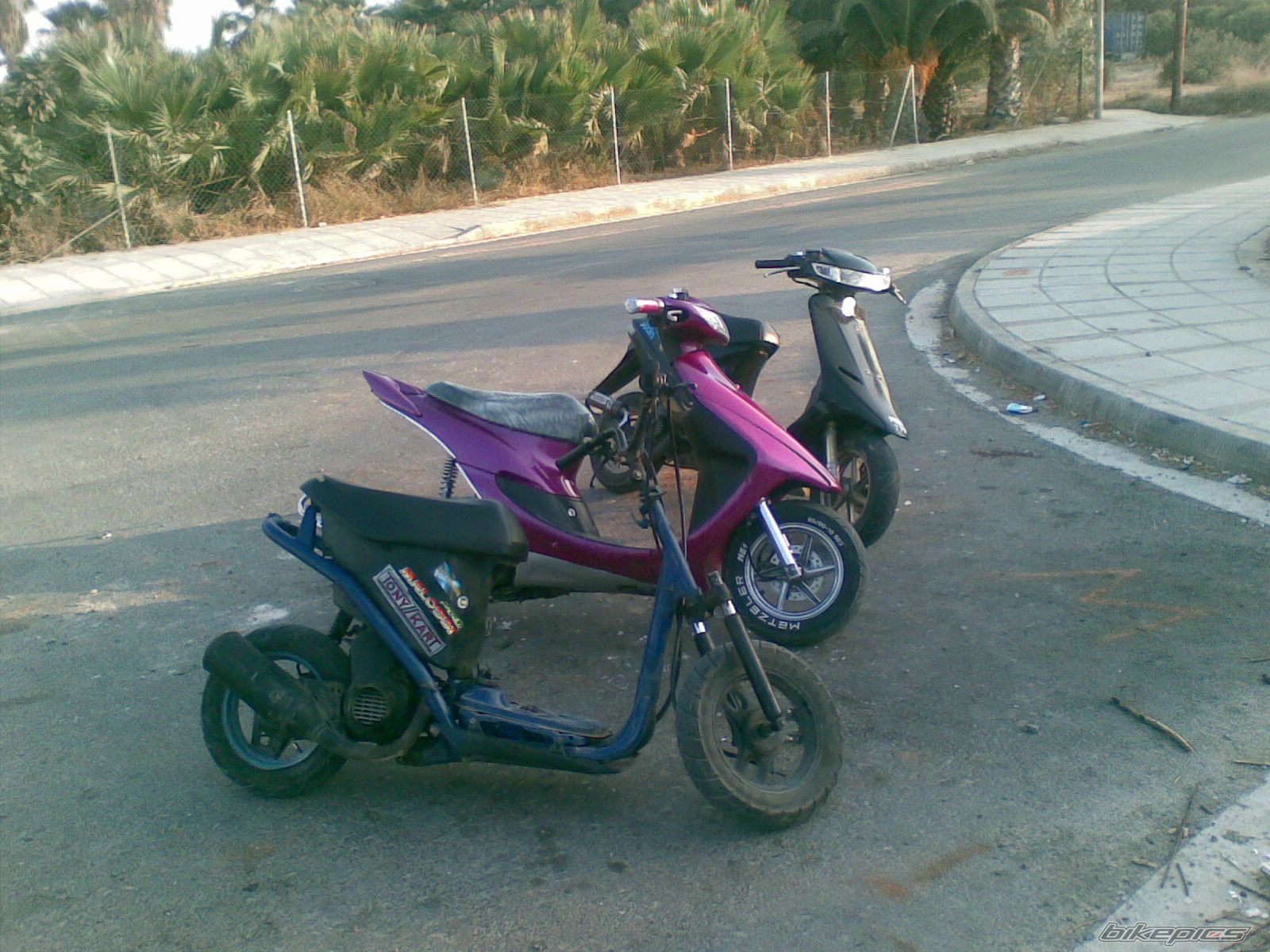 Photo 1390363