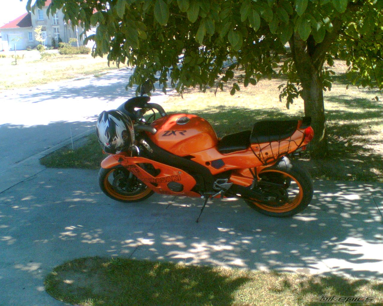 Photo 1390388