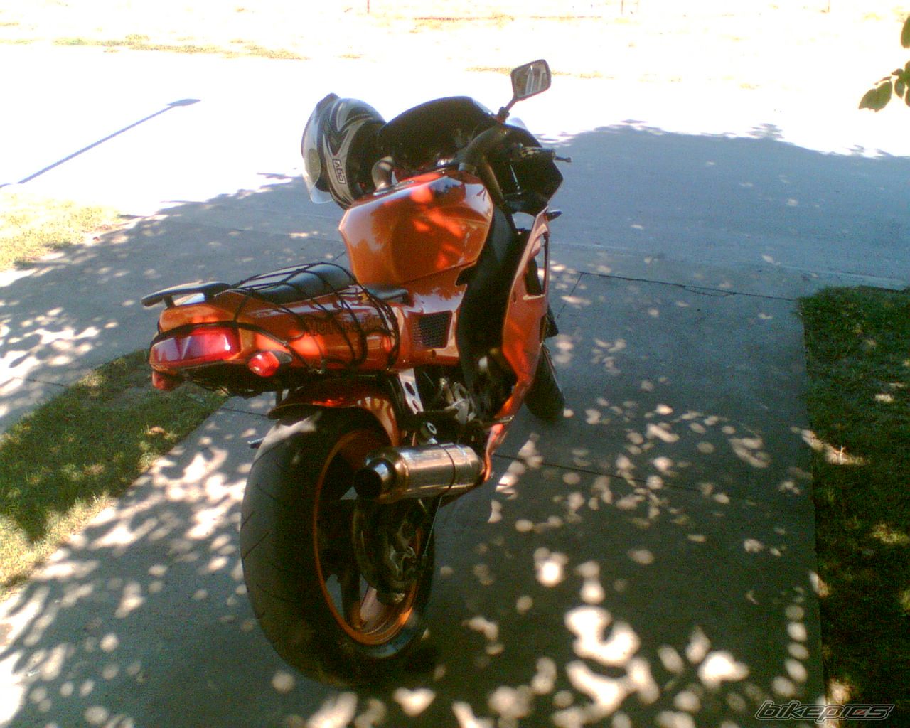 Photo 1390389