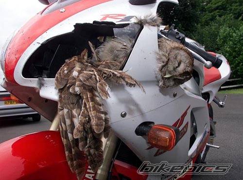 Bike Photo 139083