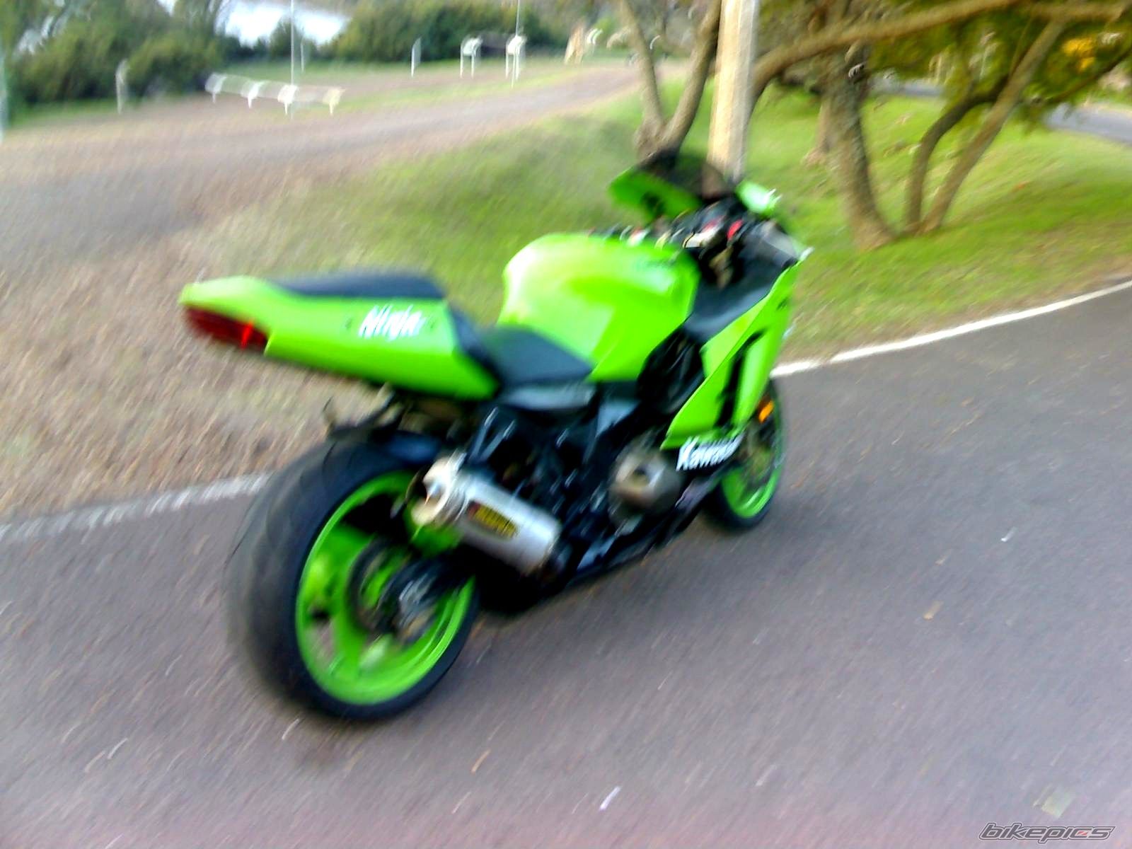 Photo 1390878