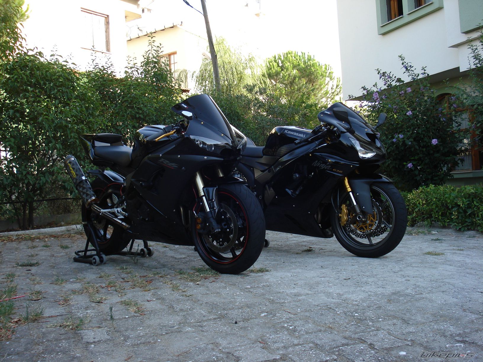 Photo 1390908