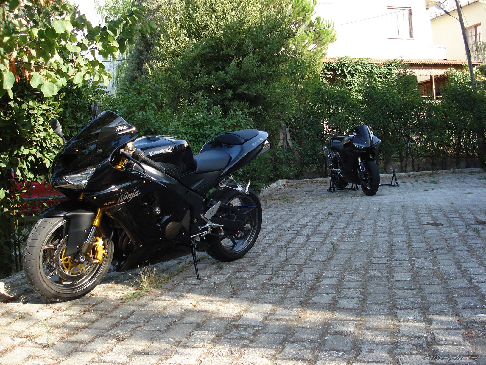 Photo 1390909