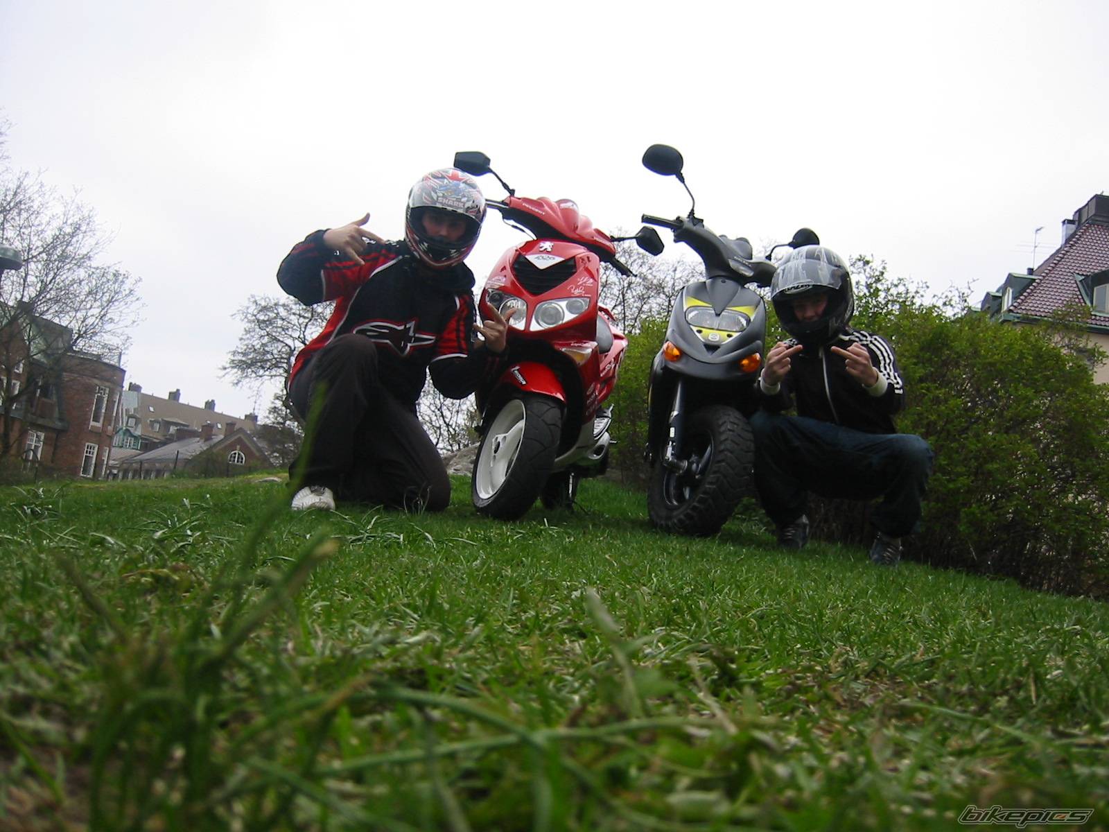 Photo 139093