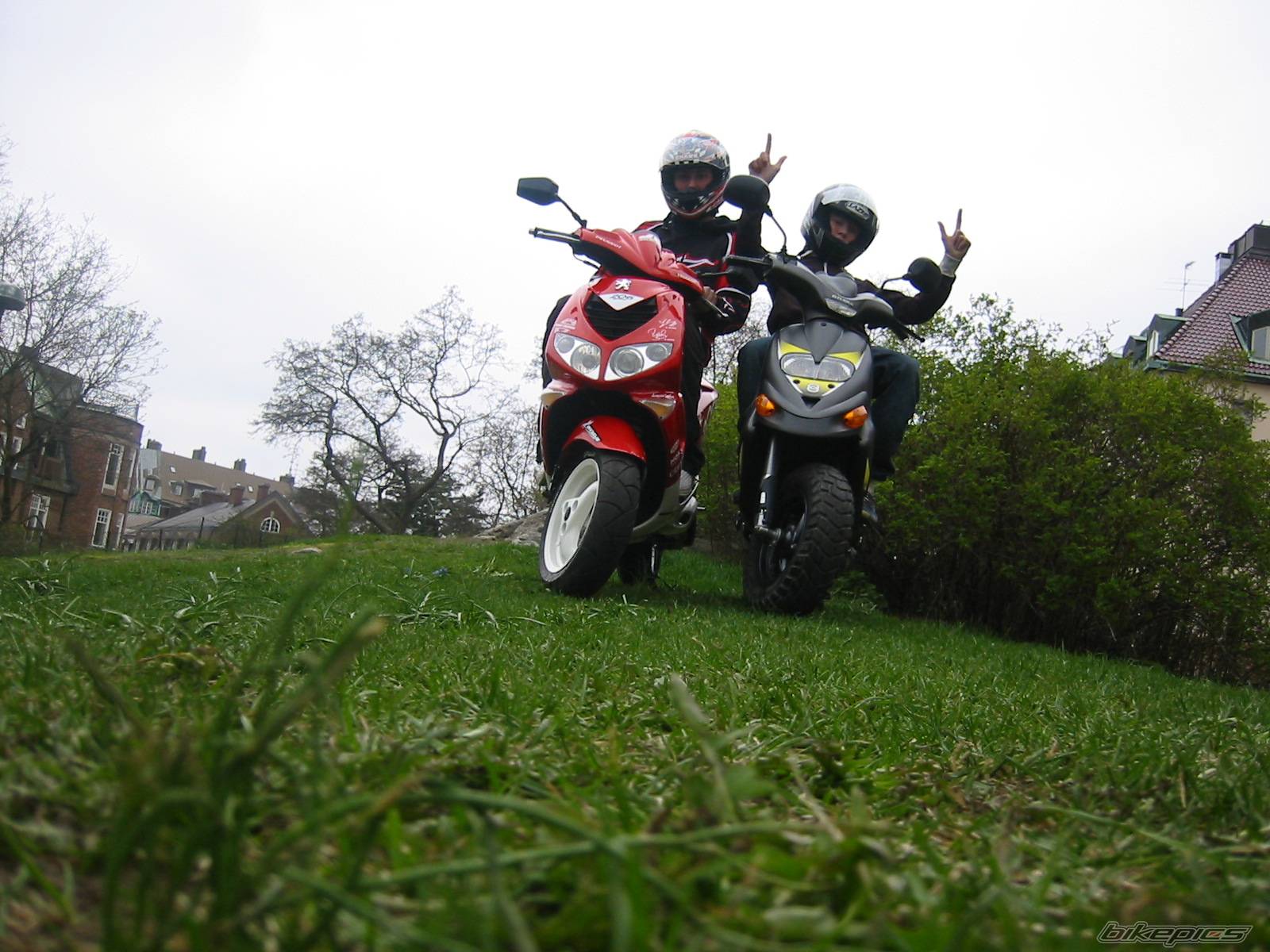 Photo 139095