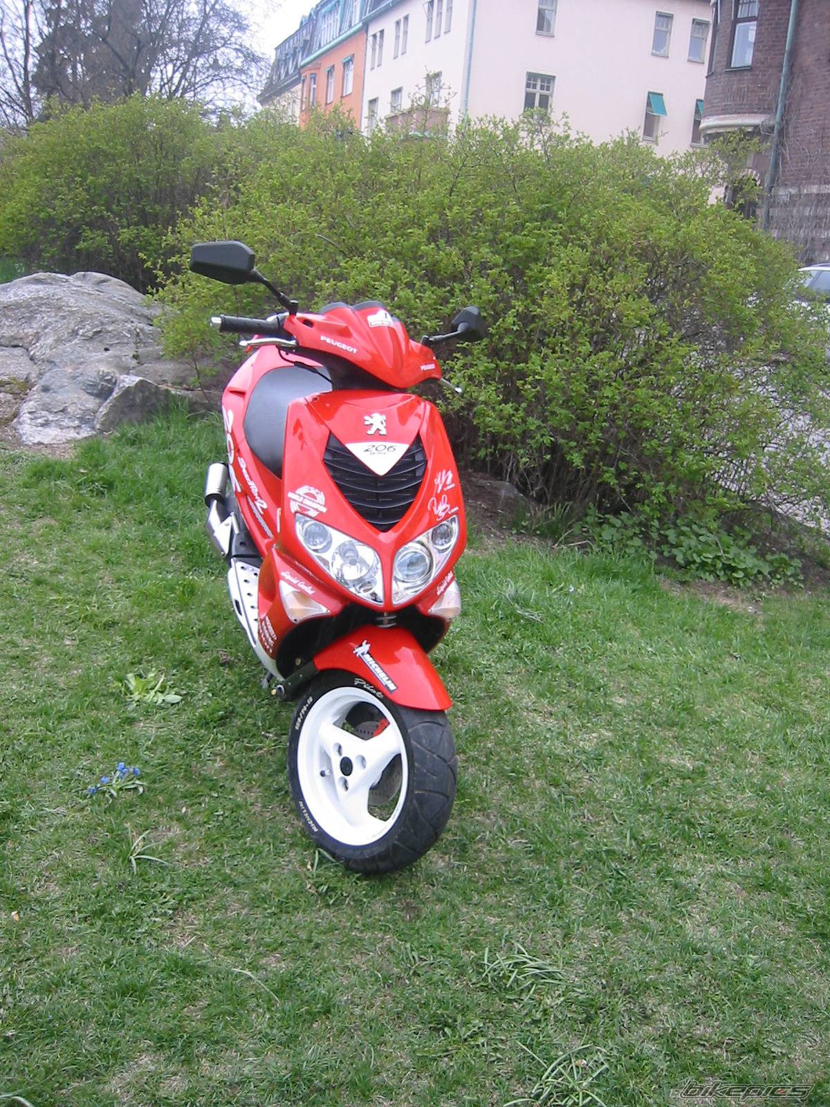Photo 139099